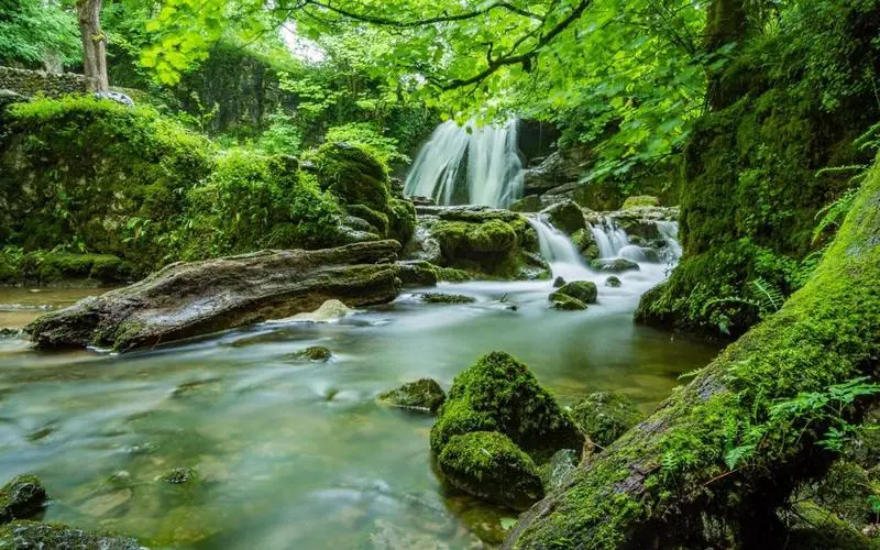 智慧高效